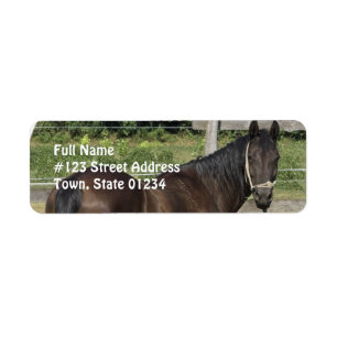 Dark Bay Thoroughbred Address Label