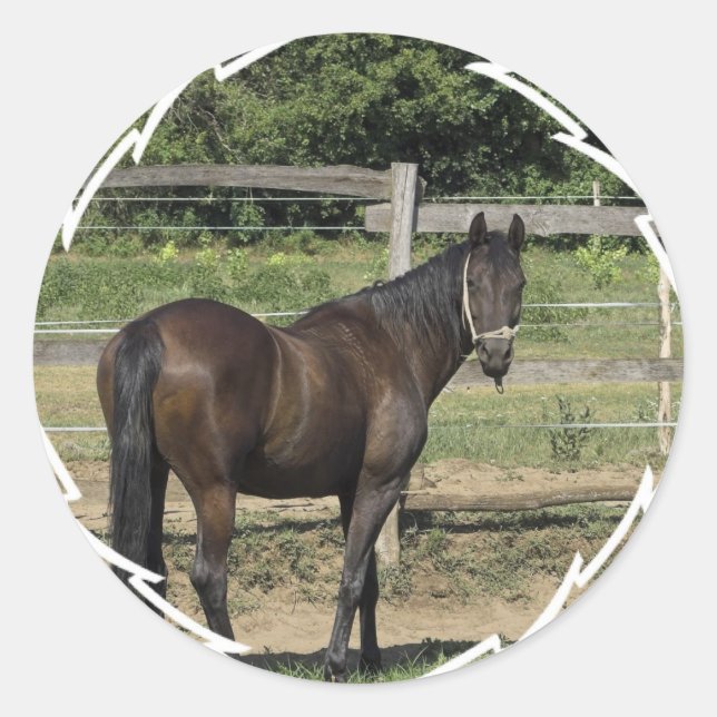 Dark Bay Thoroughbred Stickers (Front)