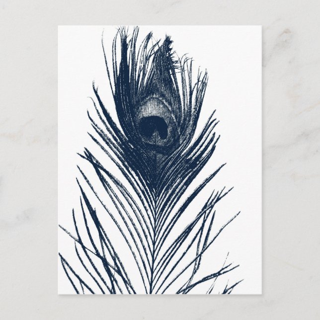 Dark Blue Peacock Feather Postcard (Front)
