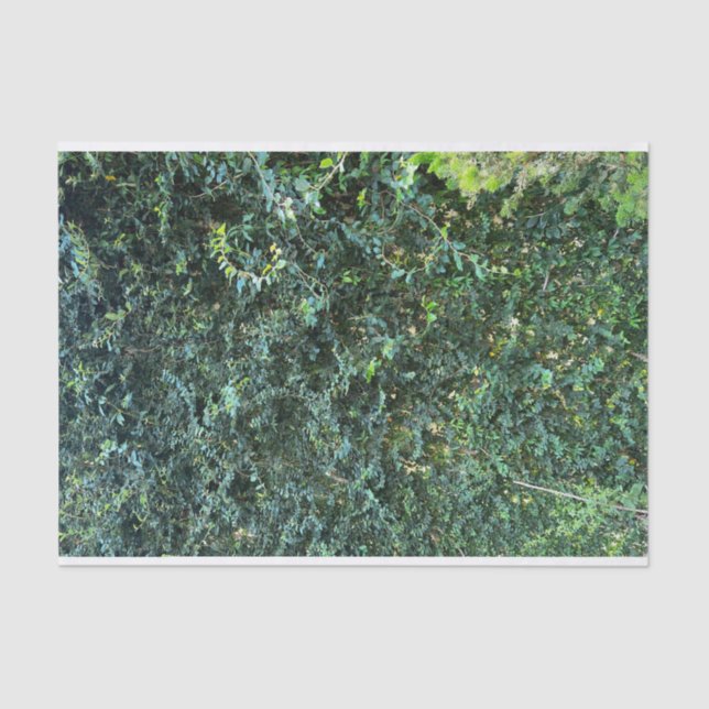 Dark Botanical Greenery Floral Background  Tissue Paper (Front)