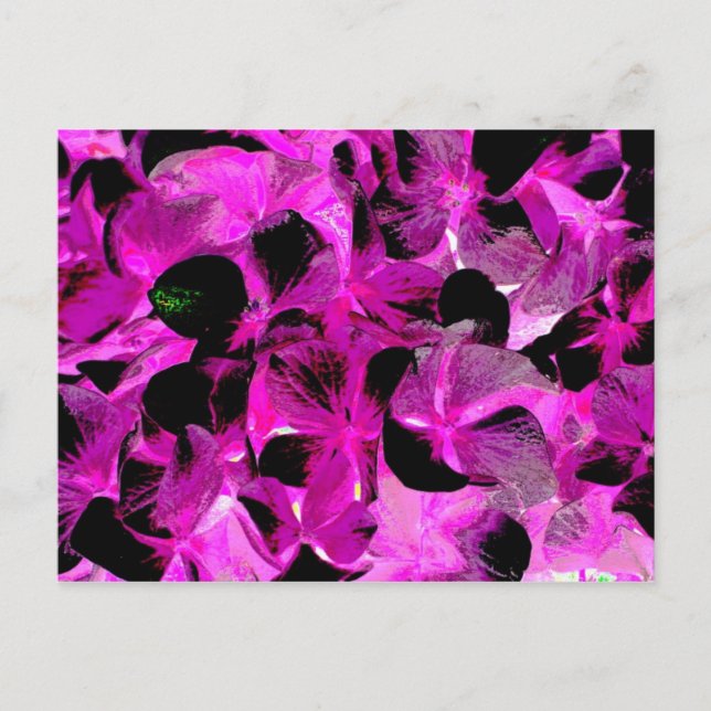 dark bright 2 postcard (Front)