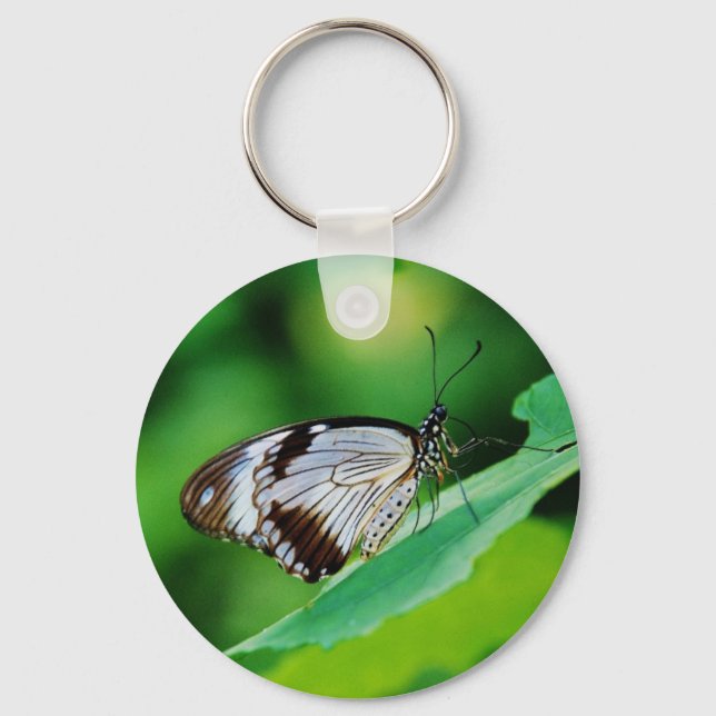 Dark Brown and Grey Butterfly Key Ring (Front)
