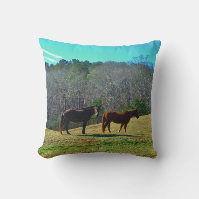 Dark Brown and light Brown horses tel sky Cushion (Front)