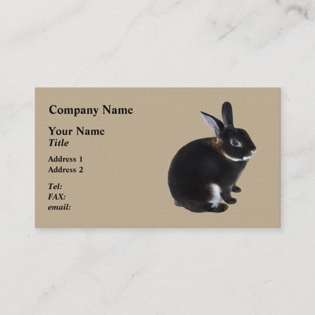Dark Brown and White Mini Rex Rabbit Business Card (Front)