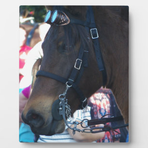 Dark Brown Arabian Horse wearing goggles Plaque