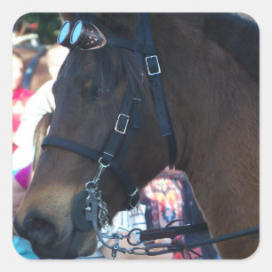 Dark Brown Arabian Horse wearing goggles Square Sticker