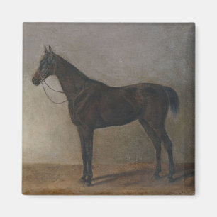Dark Brown Gelding Horse (Vintage Animal Art) Magnet