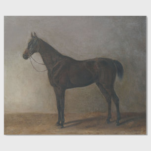 Dark Brown Gelding Horse (Vintage Animal Art) Wrapping Paper