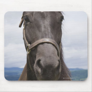 Dark Brown Horse Mouse Mat