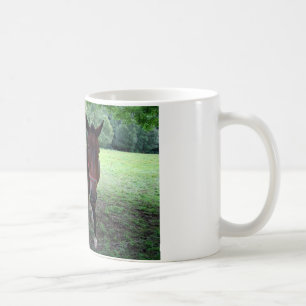 Dark brown Horses on pasture Coffee Mug