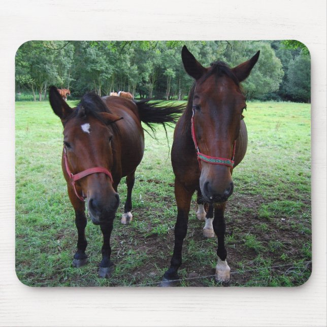 Dark brown Horses on pasture Mouse Mat (Front)