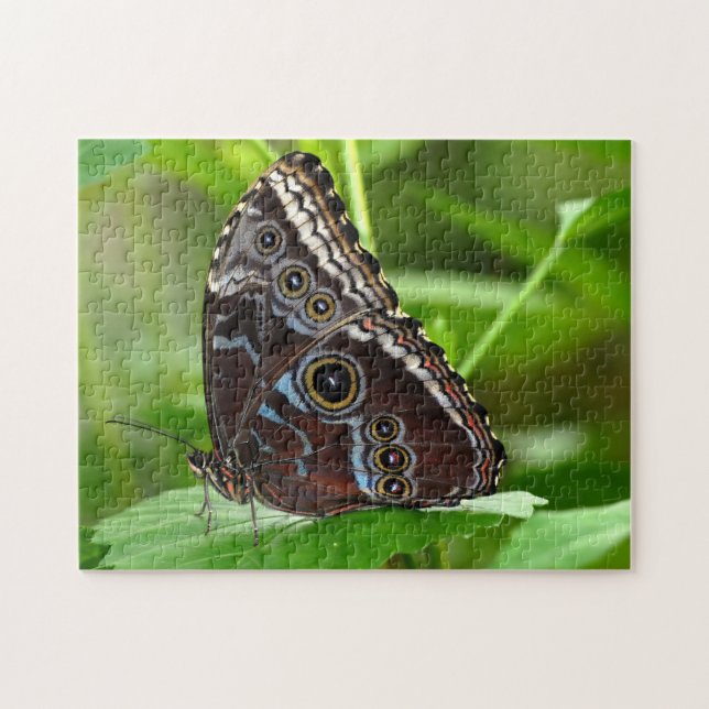 Dark Butterfly Sitting on Leaf Jigsaw Puzzle (Horizontal)