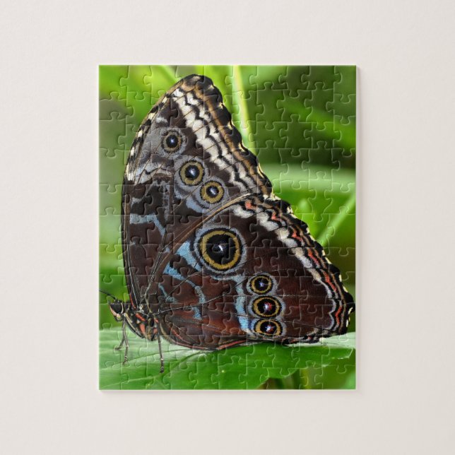 Dark Butterfly Sitting on Leaves in Nature Jigsaw Puzzle (Vertical)