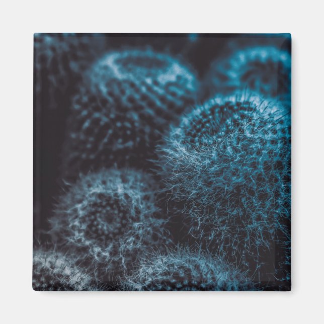 Dark Cactus Magnet (Front)