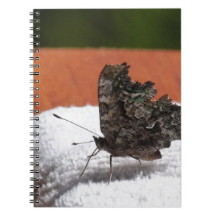 Dark Camouflage Butterfly Notebook