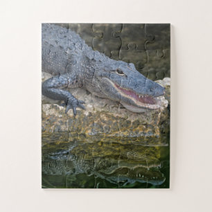 Dark Crocodile with Clear Reflection in Water Jigsaw Puzzle