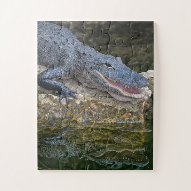 Dark Crocodile with Clear Reflection in Water Jigsaw Puzzle (Vertical)