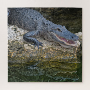 Dark Crocodile with Clear Reflection in Water Jigsaw Puzzle