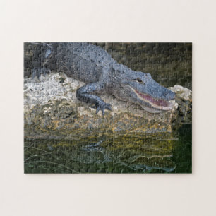 Dark Crocodile with Clear Reflection in Water Jigsaw Puzzle
