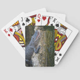 Dark Crocodile with Clear Reflection in Water Playing Cards