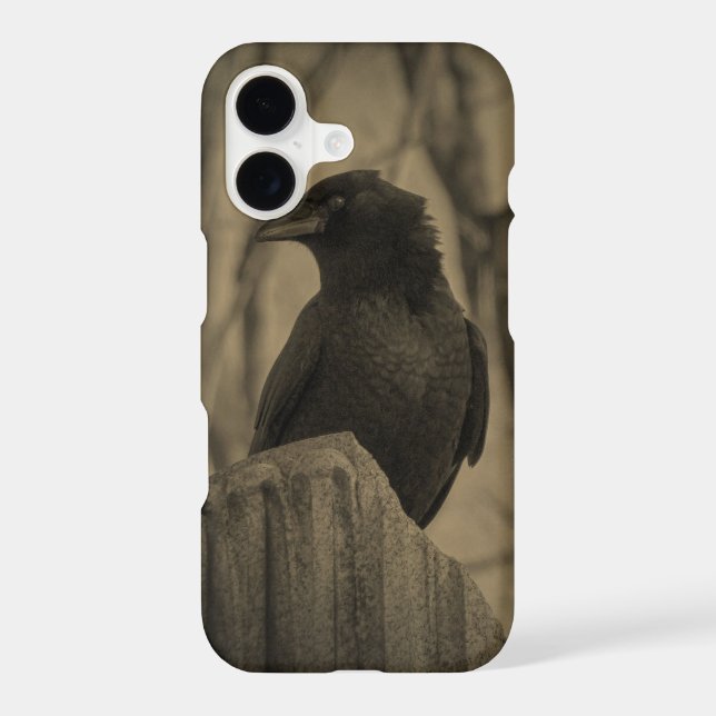 Dark Crow (Back)