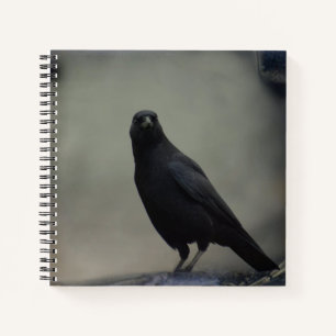 Dark Crow Notebook