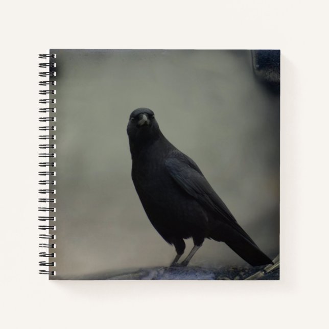 Dark Crow Notebook (Front)