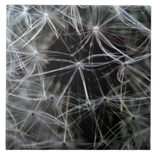 Dark Dandelion Ceramic Tile