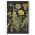 Dark Dandilion Furniture Decoupae Paper