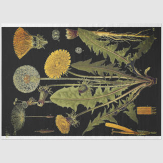 Dark Dandilion Furniture Decoupae Paper