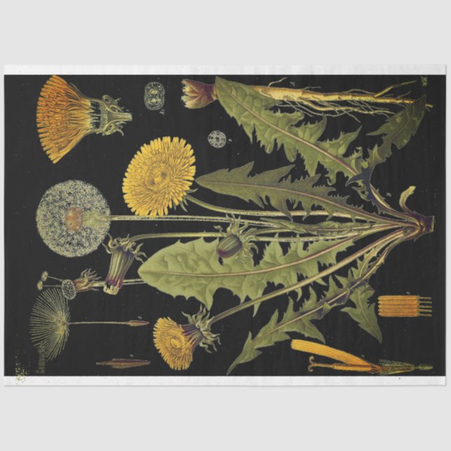 Dark Dandilion Furniture Decoupae Paper (Front)