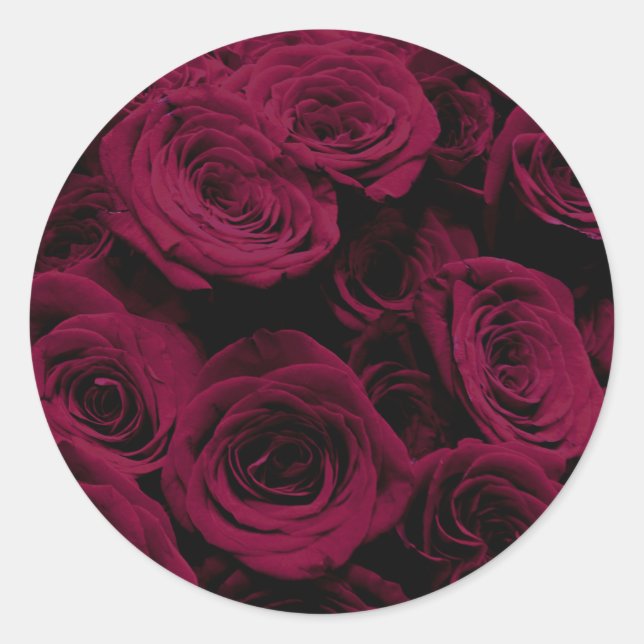 Dark deep red magenta burgundy roses  classic round sticker (Front)