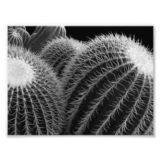 Dark Desert. Photo Print