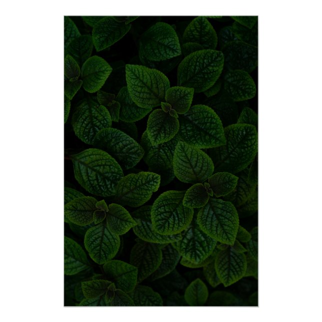 Dark Emerald Green Textured Leaves Pattern Poster (Front)