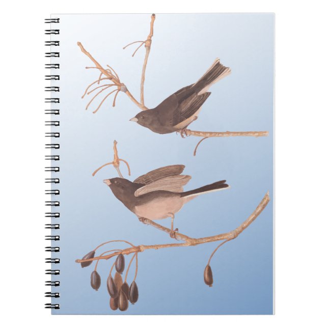 Dark-Eyed Junco Audubon Snow Birds on Bare Branch Notebook (Front)