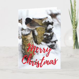 Dark Eyed Junco Bird Photo Christmas Card