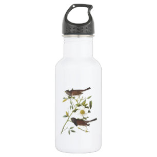 Dark-eyed Junco by Audubon 532 Ml Water Bottle