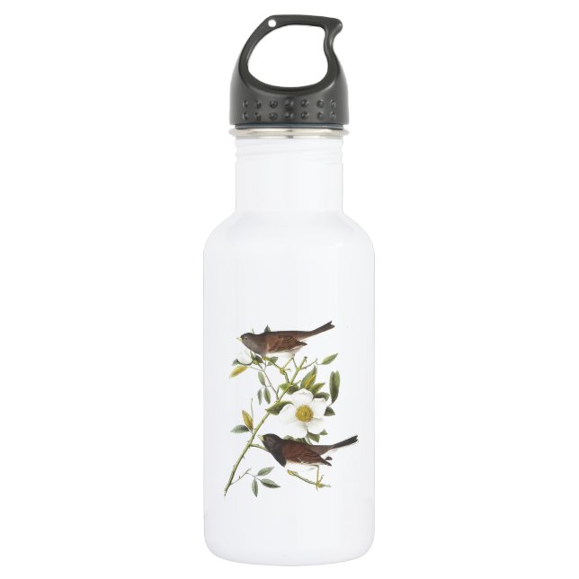 Dark-eyed Junco by Audubon 532 Ml Water Bottle (Front)