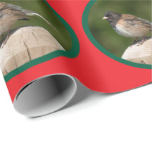 Dark-eyed Junco Holiday