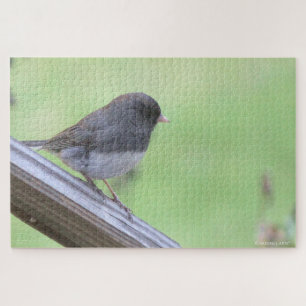 Dark-eyed Junco Jigsaw Puzzle