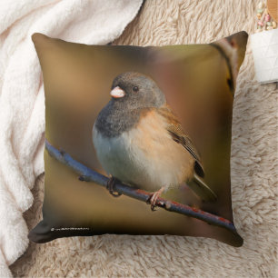 Dark-Eyed Junco on a Limb Cushion
