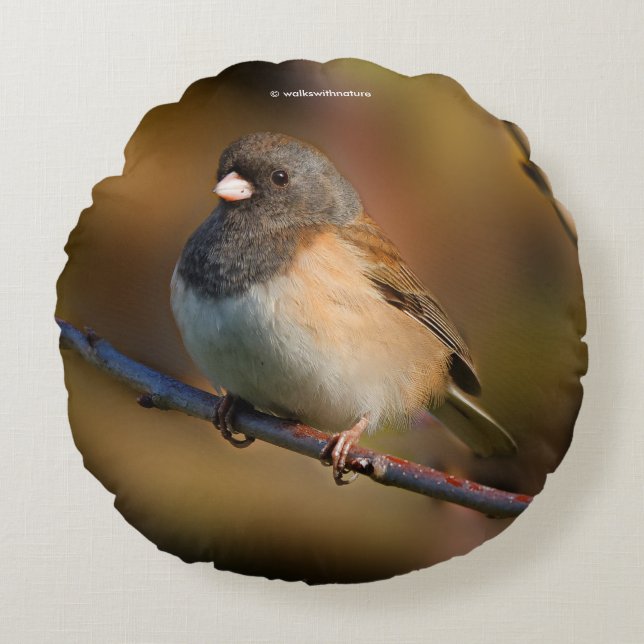 Dark-Eyed Junco on a Limb Round Cushion (Front)
