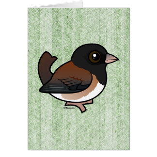 Dark-eyed Junco (Oregon)