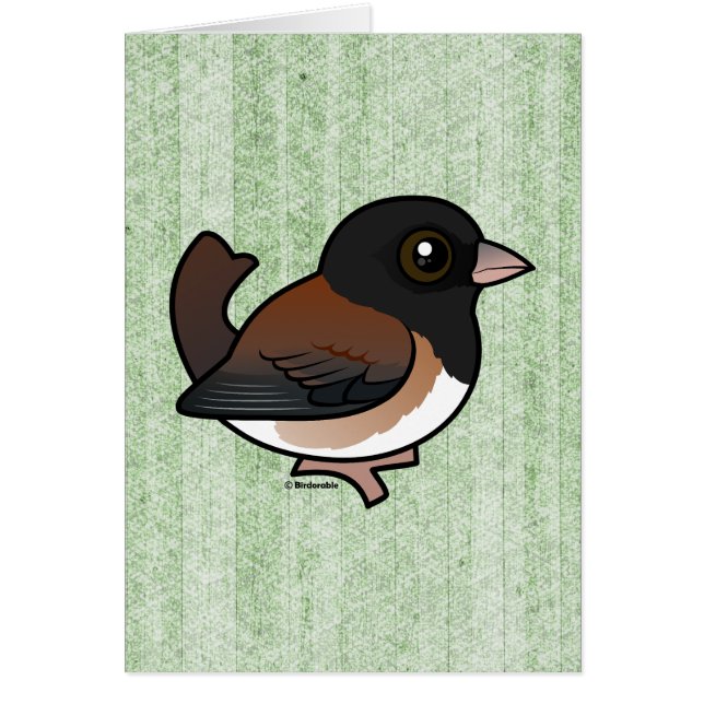 Dark-eyed Junco (Oregon) (Front)