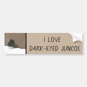 Dark-Eyed Junco Painting - Original Bird Art Bumper Sticker