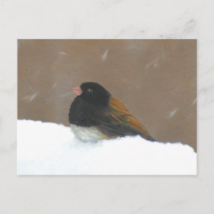 Dark-Eyed Junco Painting - Original Bird Art Postcard