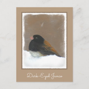 Dark-Eyed Junco Painting - Original Bird Art Postcard