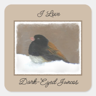 Dark-Eyed Junco Painting - Original Bird Art Square Sticker