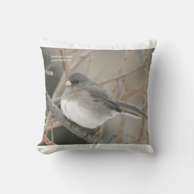 Dark-eyed Junco pillo Cushion (Front)