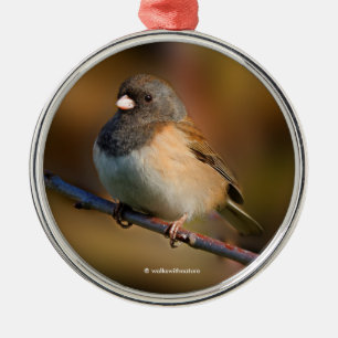 Dark-Eyed Junco Songbird on a Limb Metal Tree Decoration